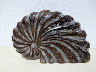 Soška MUŠLE hnědá, modrá, zelená - dřevo , ruční práce, Indonesie,24 cm